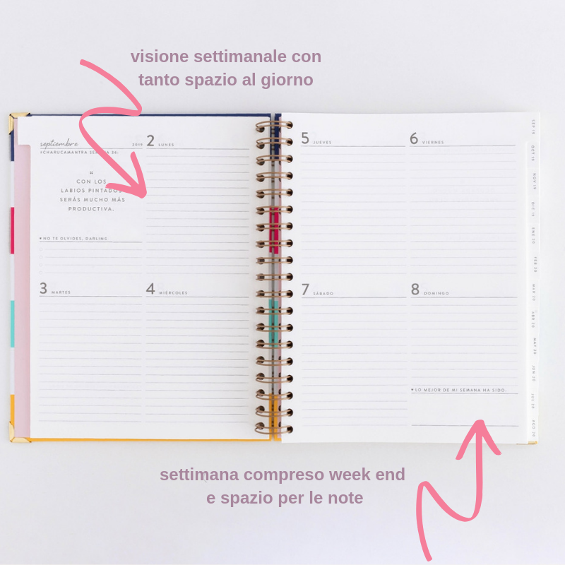 appunti programma Planner Settimanale e Blocco note agenda giornaliera – A6,A5,non datati a strappo con da fare pasti e monitoraggio dell'assunzione di acqua appunti programma Planner Settimanale e Blocco note agenda giornaliera – A6,A5,non datati a strappo con da fare pasti e monitoraggio dell'assunzione di acqua