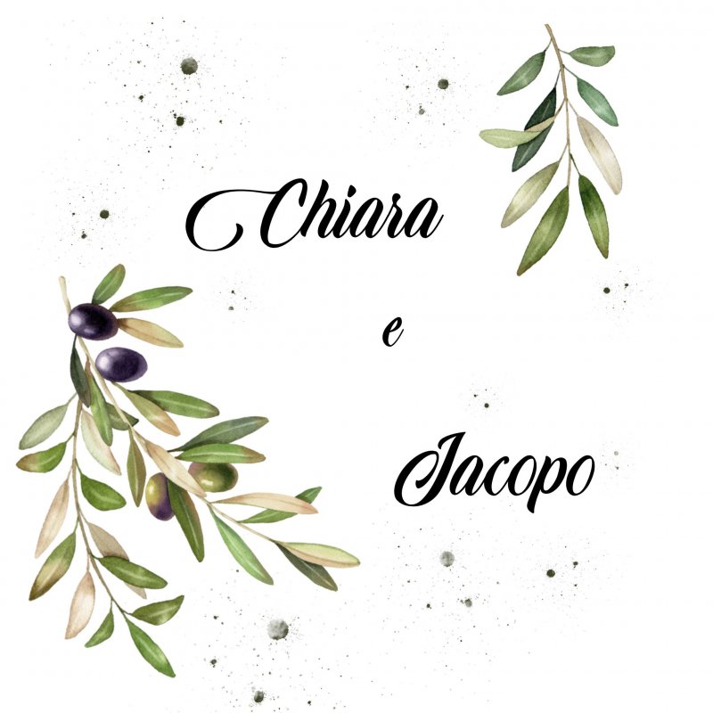 Partecipazioni Chiara Jacopo